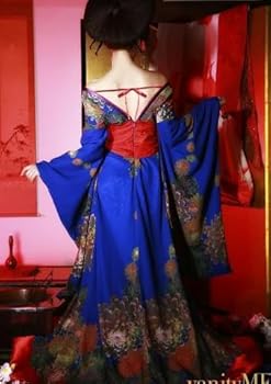 Amazon.co.jp: [HIRA] 和風 和服 コスプレ 女性 衣装 花魁